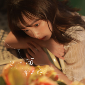 傅梦彤《见一面》Flac/MP3格式 无损音乐下载-无损音乐源
