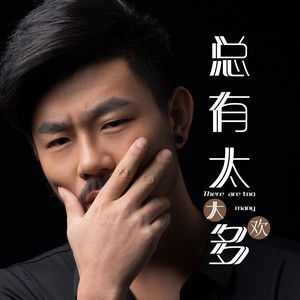 大欢《总有太多》Flac/MP3格式 无损音乐下载-无损音乐源