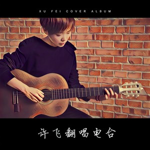 许飞《历尽沧桑的温柔》Flac/MP3格式 无损音乐下载-无损音乐源