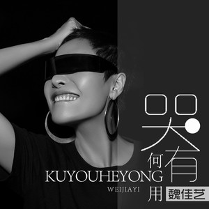 魏佳艺《哭有何用》Flac/MP3格式 无损音乐下载-无损音乐源