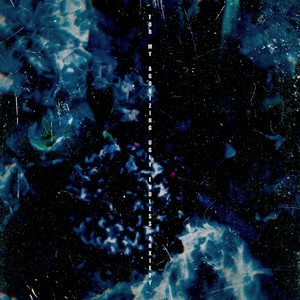 鬼卞《善变》Flac/MP3格式 无损音乐下载-无损音乐源