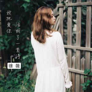 徐薇《我把爱你活成了一首诗》Flac/MP3格式 无损音乐下载-无损音乐源