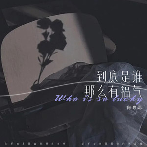 向思思《到底是谁那么有福气》Flac/MP3格式 无损音乐下载-无损音乐源
