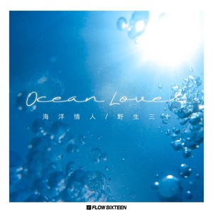 野生三十《海洋情人》Flac/MP3格式 无损音乐下载-无损音乐源