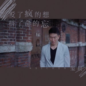 玺晨《发了疯的想拼了命的忘》Flac/MP3格式 无损音乐下载-无损音乐源