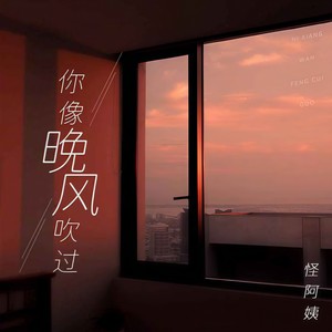 怪阿姨《你像晚风吹过》Flac/MP3格式 无损音乐下载-无损音乐源