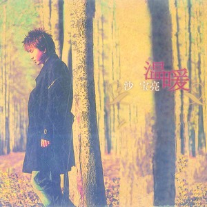 沙宝亮《多久多少》Flac/MP3格式 无损音乐下载-无损音乐源