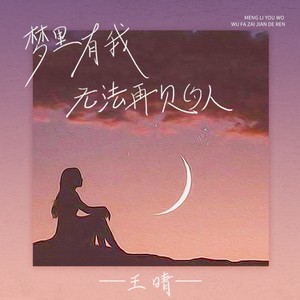 王晴《梦里有我无法再见的人》Flac/MP3格式 无损音乐下载-无损音乐源