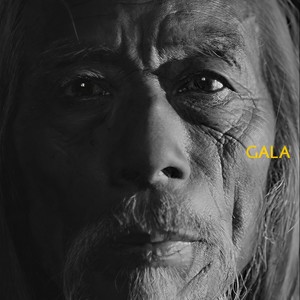 GALA《走自己的路》Flac/MP3格式 无损音乐下载-无损音乐源