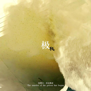 张嫮目《极与极》Flac/MP3格式 无损音乐下载-无损音乐源