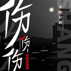 半吨兄弟《伤伤伤》Flac/MP3格式 无损音乐下载-无损音乐源