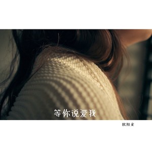 欧阳朵《等你说爱我》Flac/MP3格式 无损音乐下载-无损音乐源