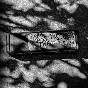 布衣乐队《自由的鸟》Flac/MP3格式 无损音乐下载-无损音乐源