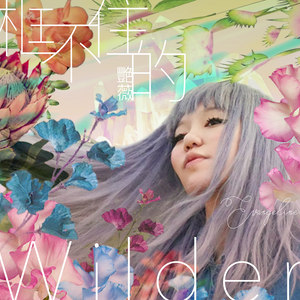 王艳薇《保存期限》Flac/MP3格式 无损音乐下载-无损音乐源