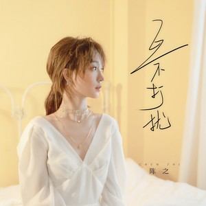 陈之《互不打扰》Flac/MP3格式 无损音乐下载-无损音乐源