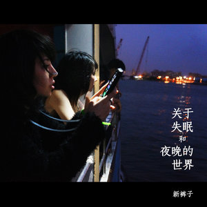 新裤子《弹着吉他的少年》Flac/MP3格式 无损音乐下载-无损音乐源