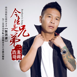 二龙湖浩哥《今生是兄弟》Flac/MP3格式 无损音乐下载-无损音乐源