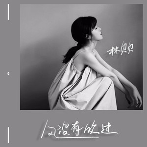 林贝贝《风没有吹过》Flac/MP3格式 无损音乐下载-无损音乐源