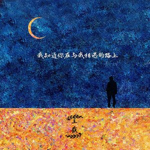 王荻《我知道你在与我相遇的路上》Flac/MP3格式 无损音乐下载-无损音乐源