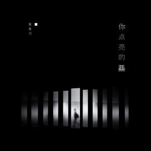 董嘉鸿《你点亮的黑》Flac/MP3格式 无损音乐下载-无损音乐源