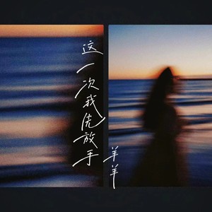 羊羊《这一次我先放手》Flac/MP3格式 无损音乐下载-无损音乐源