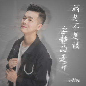 小阿枫《我是不是该安静的走开》Flac/MP3格式 无损音乐下载-无损音乐源