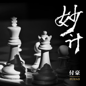 付豪《妙计》Flac/MP3格式 无损音乐下载-无损音乐源