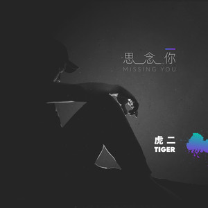 虎二《思念你》Flac/MP3格式 无损音乐下载-无损音乐源