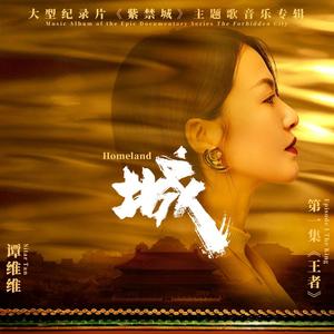 谭维维《城》Flac/MP3格式 无损音乐下载-无损音乐源