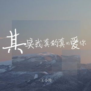王小帅《其实我真的真的爱你》Flac/MP3格式 无损音乐下载-无损音乐源
