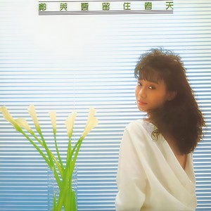 邝美云《迷惘的爱》Flac/MP3格式 无损音乐下载-无损音乐源