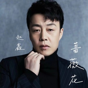赵鑫《蔷薇花》Flac/MP3格式 无损音乐下载-无损音乐源