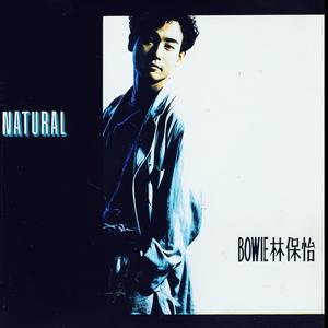 林保怡《只爱上昨日的你》Flac/MP3格式 无损音乐下载-无损音乐源