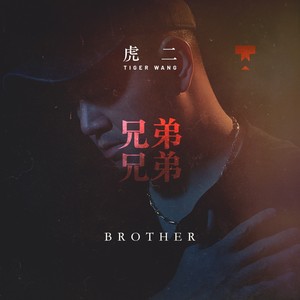 虎二《兄弟兄弟》Flac/MP3格式 无损音乐下载-无损音乐源