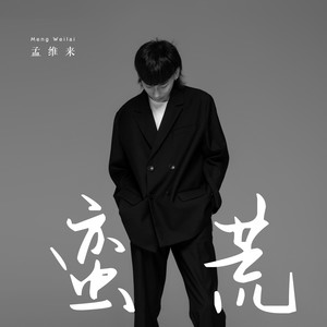 孟维来《蛮荒》Flac/MP3格式 无损音乐下载-无损音乐源
