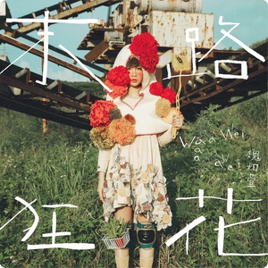 魏如萱《一万个不回头的方法》Flac/MP3格式 无损音乐下载-无损音乐源