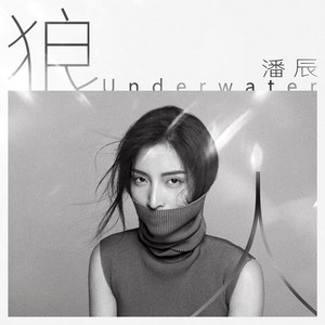 潘辰《狼人》Flac/MP3格式 无损音乐下载-无损音乐源