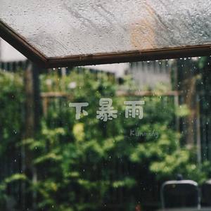 Y.A《下暴雨》Flac/MP3格式 无损音乐下载-无损音乐源