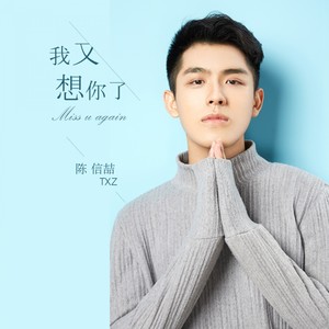 陈信喆《我又想你了》Flac/MP3格式 无损音乐下载-无损音乐源