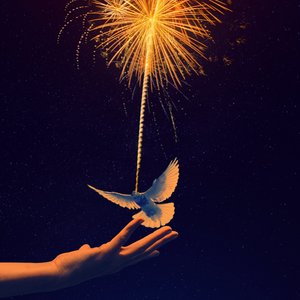 海龟先生《龟波气功》Flac/MP3格式 无损音乐下载-无损音乐源