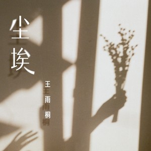 王雨桐《尘埃》Flac/MP3格式 无损音乐下载-无损音乐源