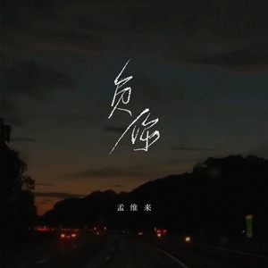 孟维来《负你》Flac/MP3格式 无损音乐下载-无损音乐源