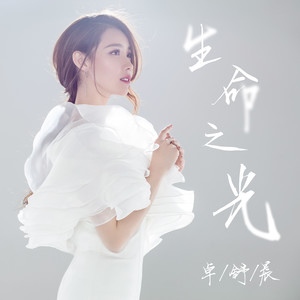 卓舒晨《生命之光》Flac/MP3格式 无损音乐下载-无损音乐源