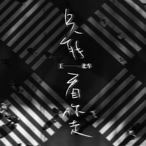 王北车《只能看你走》Flac/MP3格式 无损音乐下载-无损音乐源