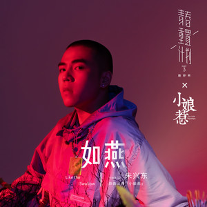 朱兴东《如燕》Flac/MP3格式 无损音乐下载-无损音乐源