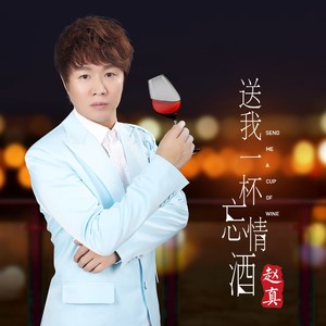 赵真《送我一杯忘情酒》Flac/MP3格式 无损音乐下载-无损音乐源