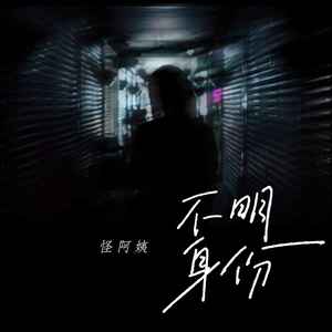 怪阿姨《不明身份》Flac/MP3格式 无损音乐下载-无损音乐源