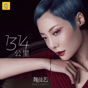 魏佳艺《1314公里》Flac/MP3格式 无损音乐下载-无损音乐源
