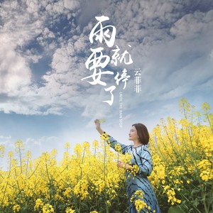 云菲菲《雨就要停了》Flac/MP3格式 无损音乐下载-无损音乐源