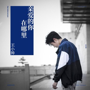王小帅《亲爱的你在哪里》Flac/MP3格式 无损音乐下载-无损音乐源